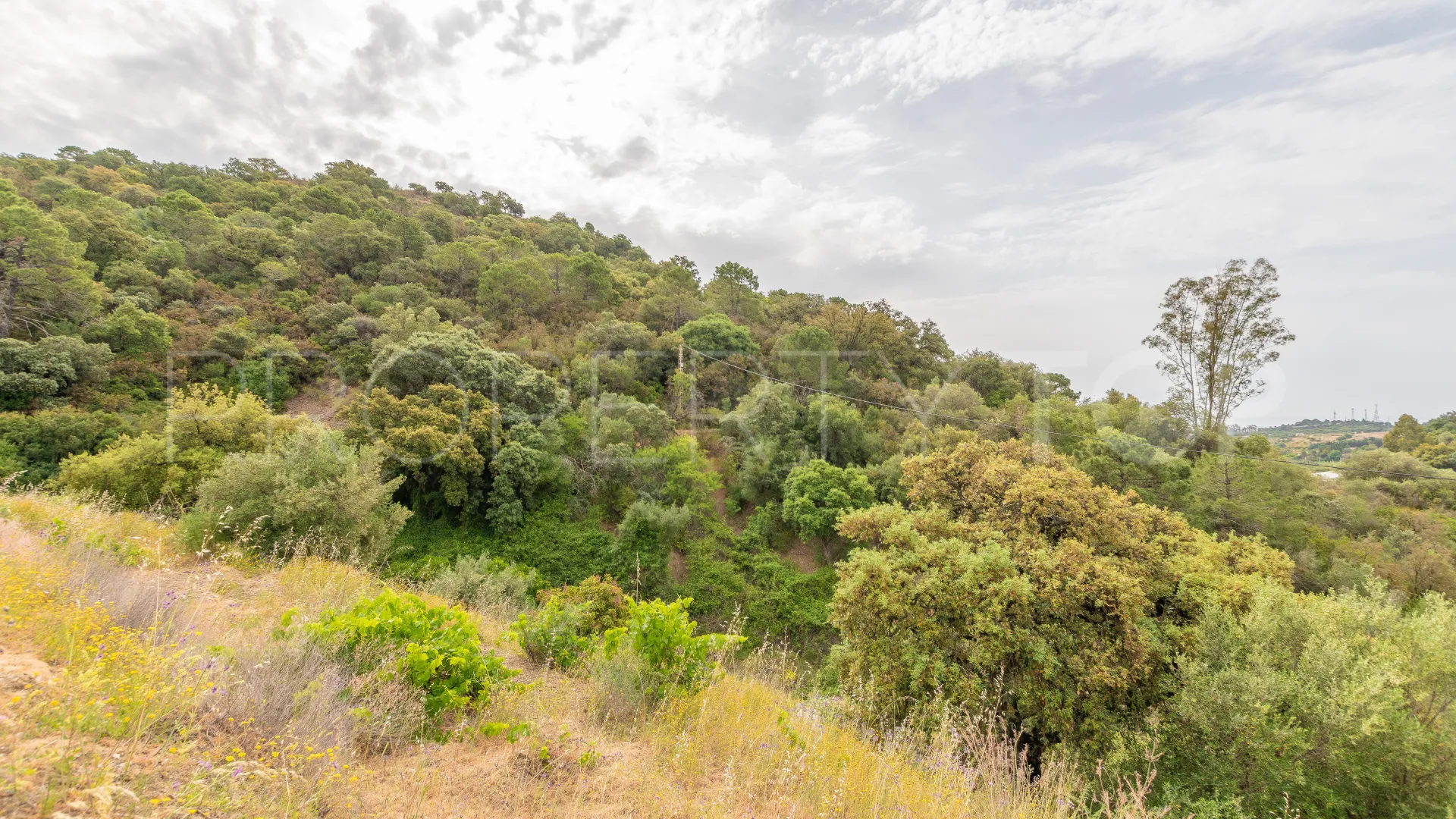 For sale El Velerin plot