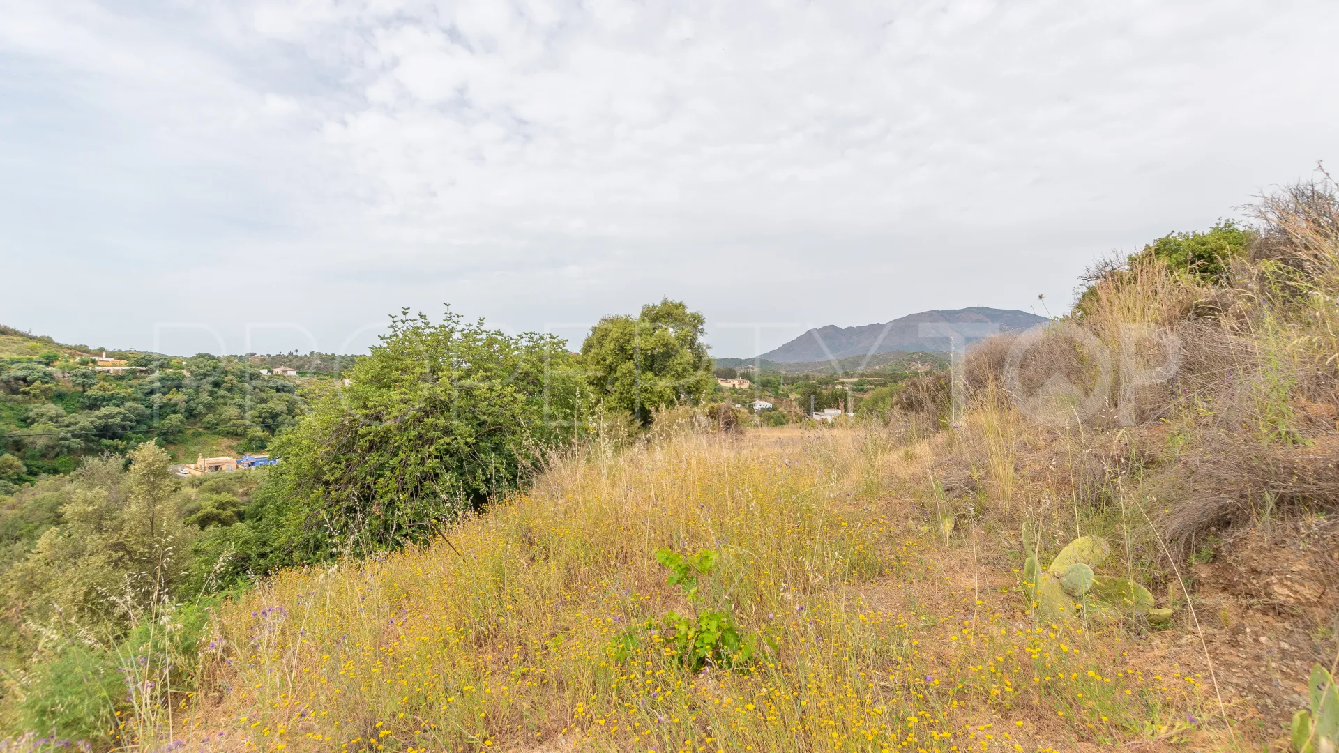 For sale El Velerin plot