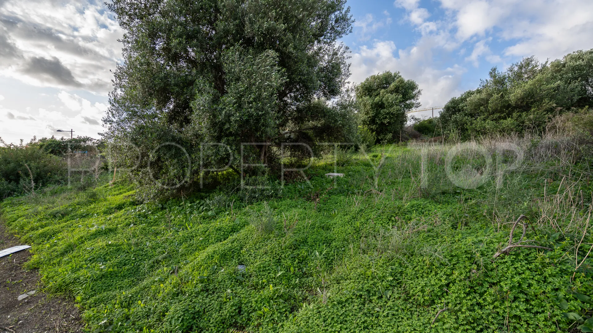 Parcela a la venta en Valle Romano