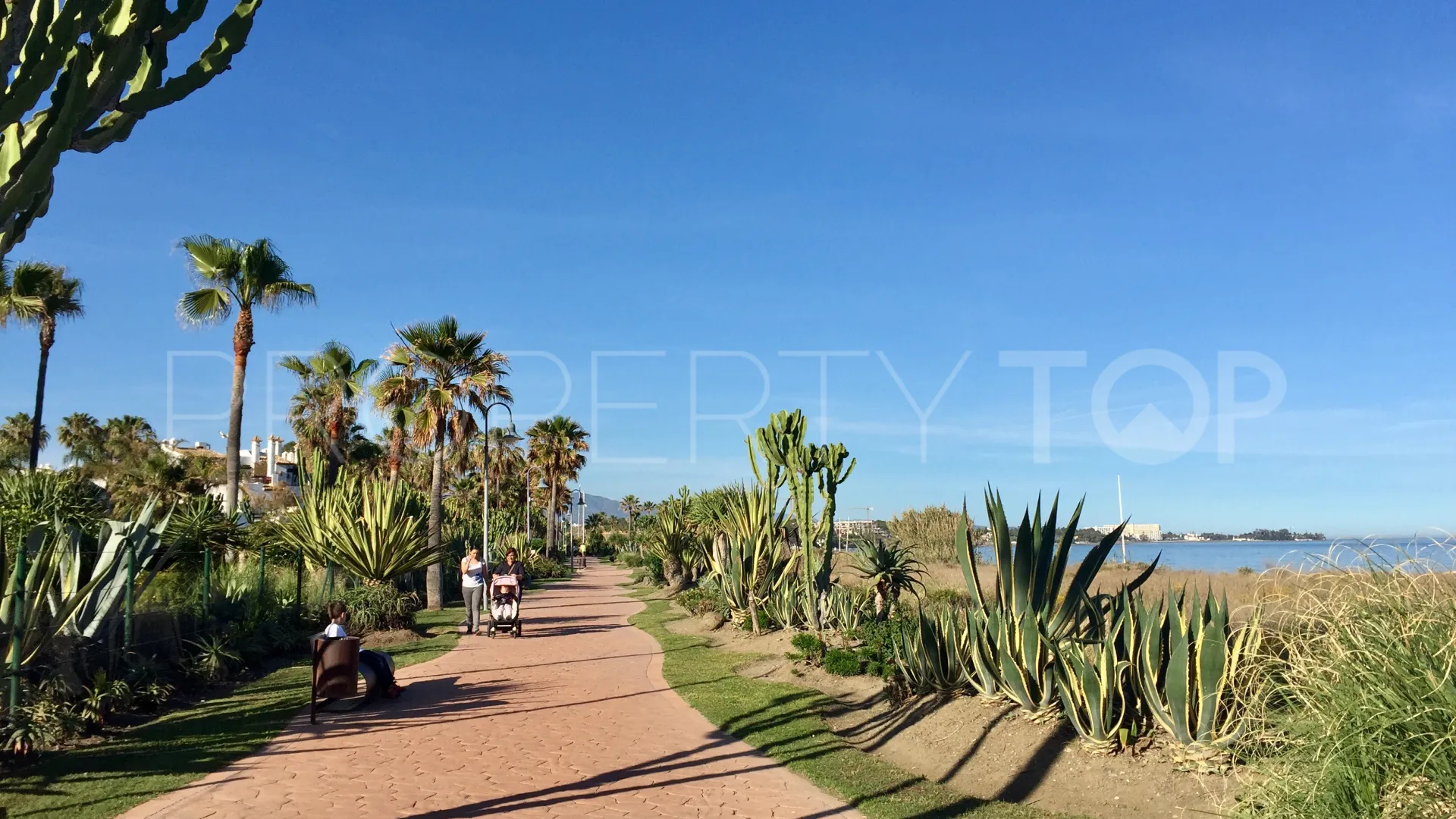 Costalita apartment for sale