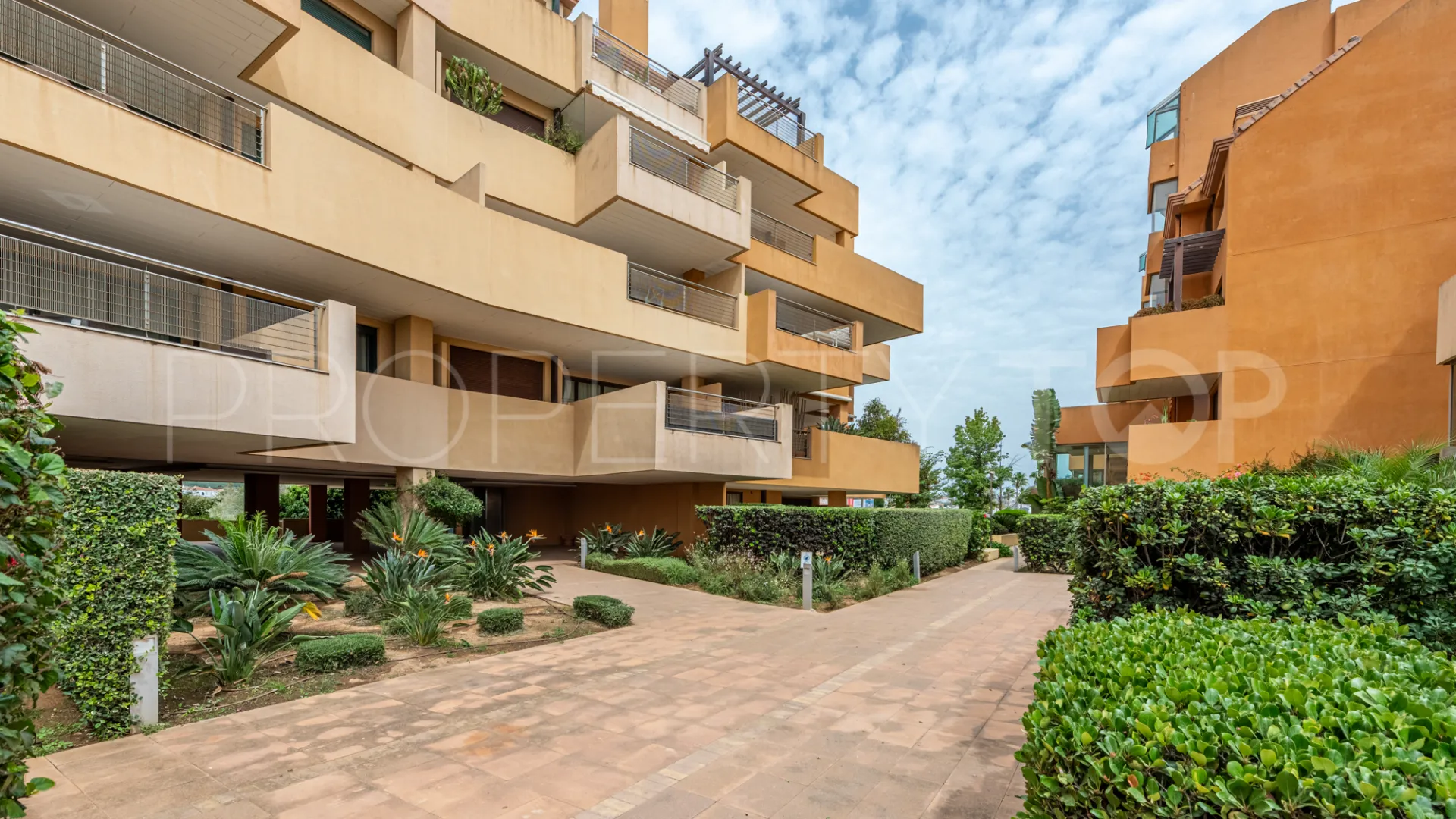 Buy ground floor apartment in Ribera del Marlin