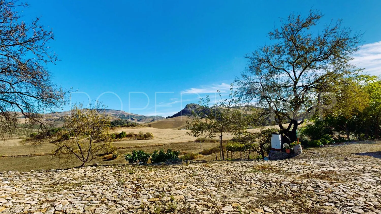 Comprar finca en Montecorto