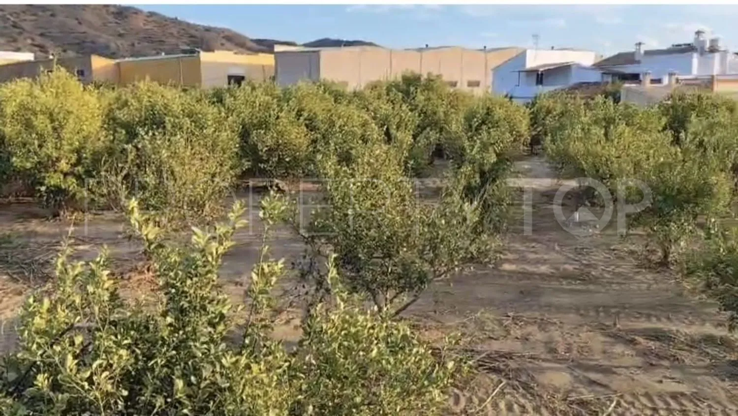 Plot for sale in Alora