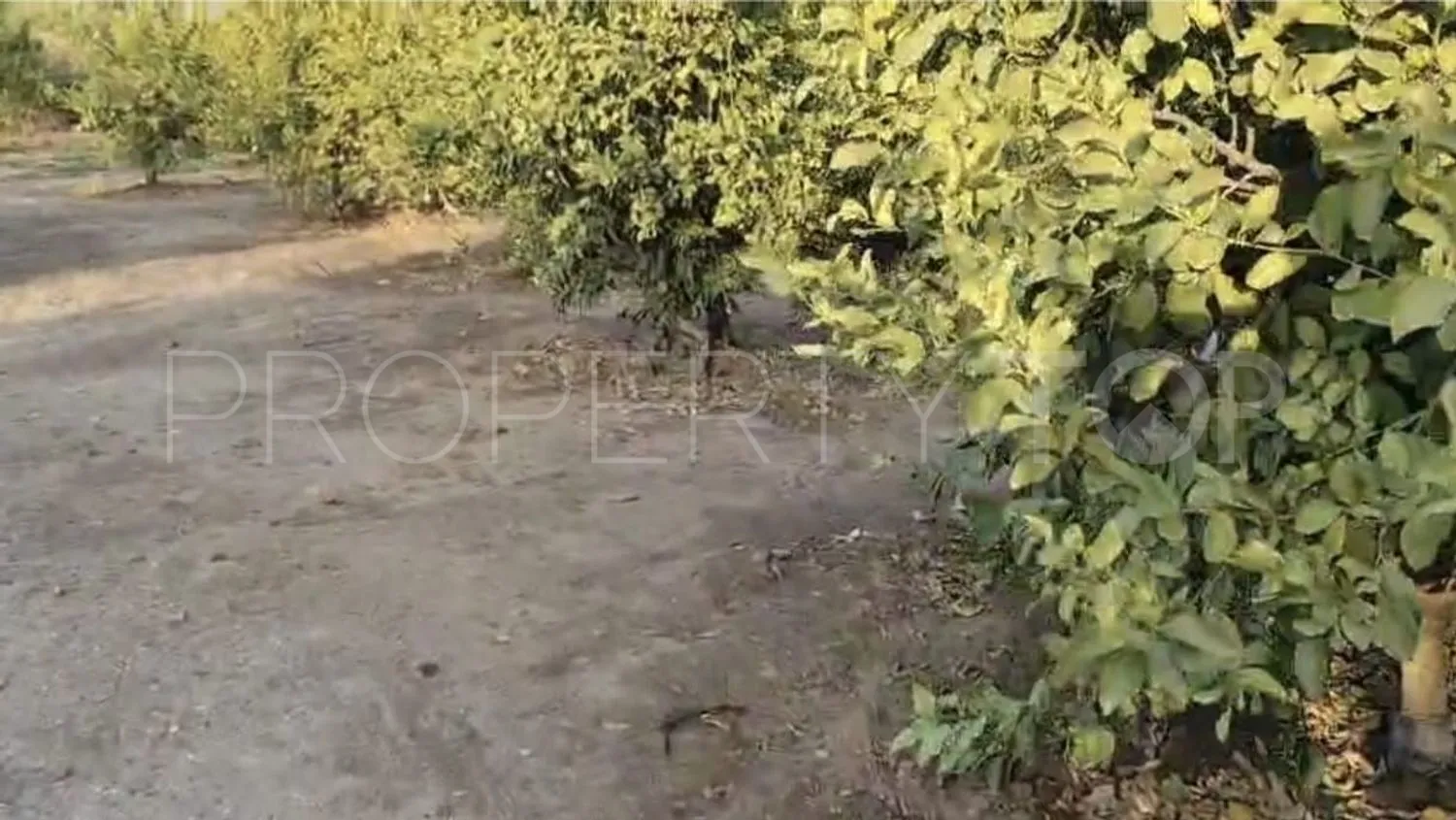 Plot for sale in Alora