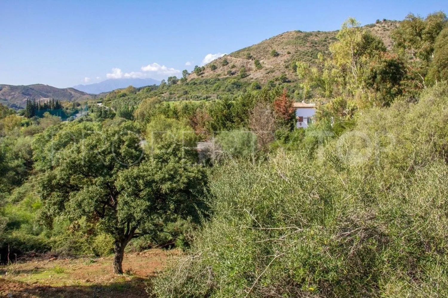 Comprar parcela en Puerto del Almendro