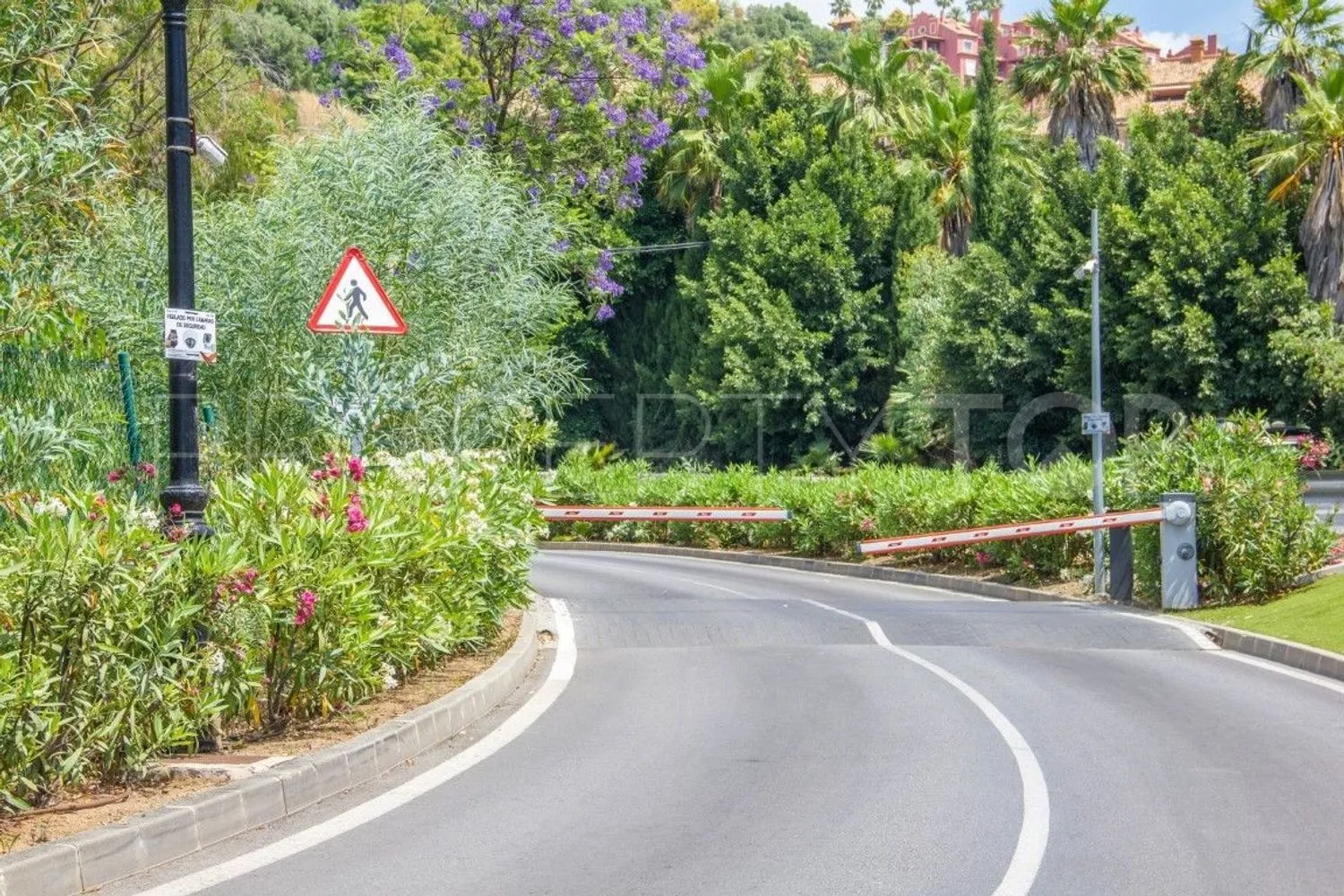 Comprar parcela en Puerto del Almendro