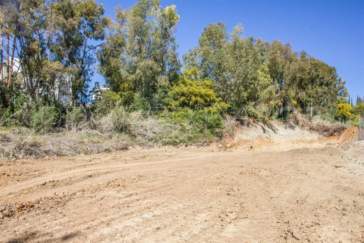 Comprar parcela en Puerto del Almendro
