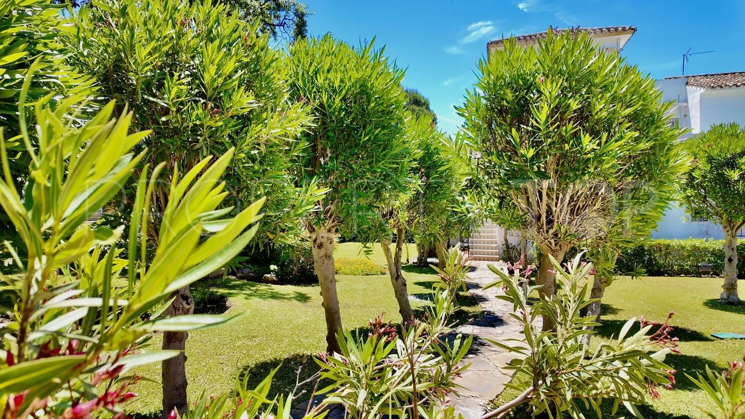 For sale town house in Hacienda Elviria