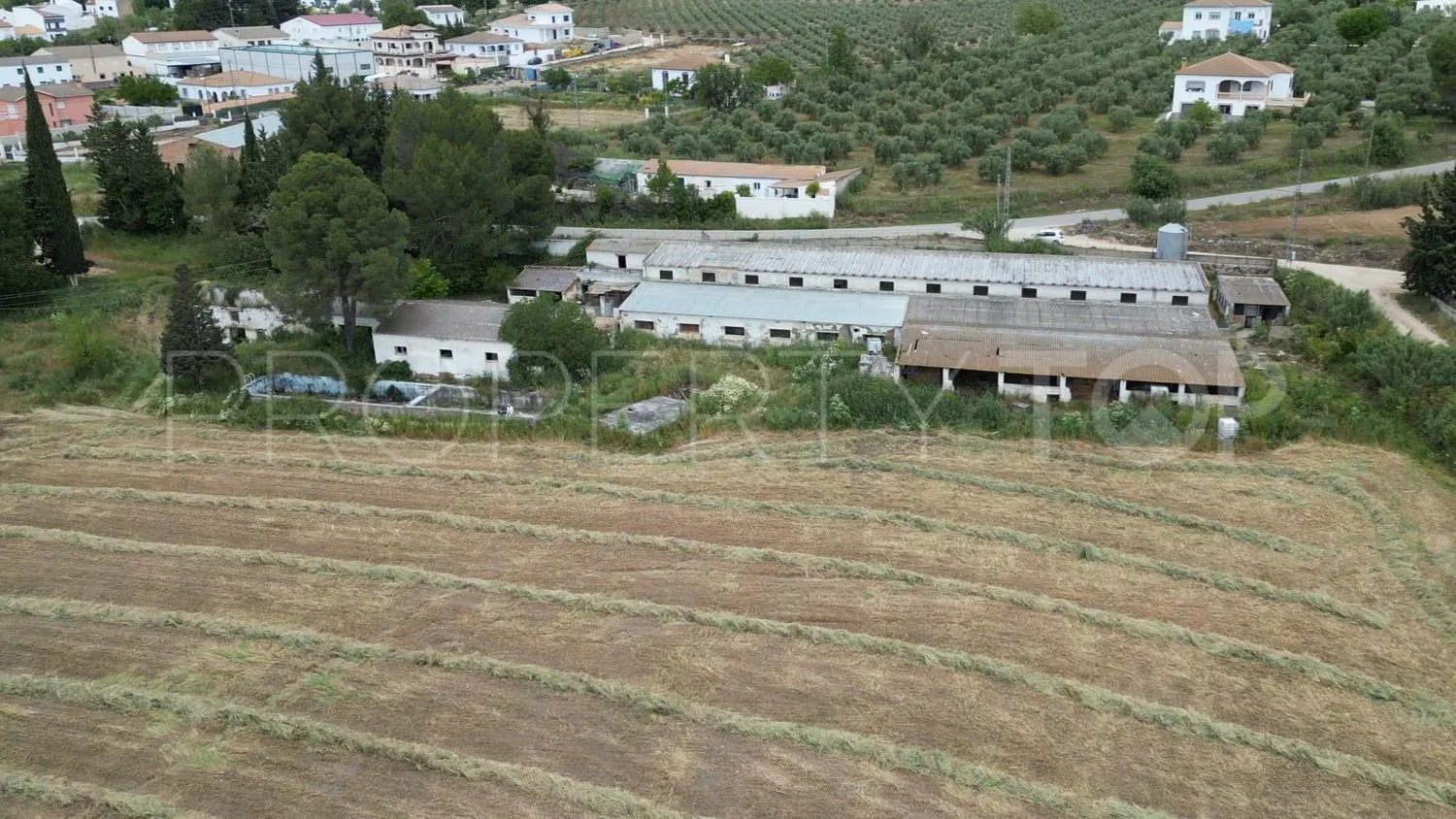 Comprar parcela en Setenil de las Bodegas