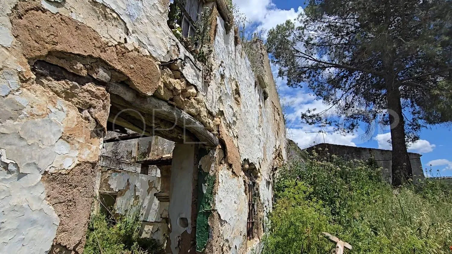 Comprar parcela en Setenil de las Bodegas