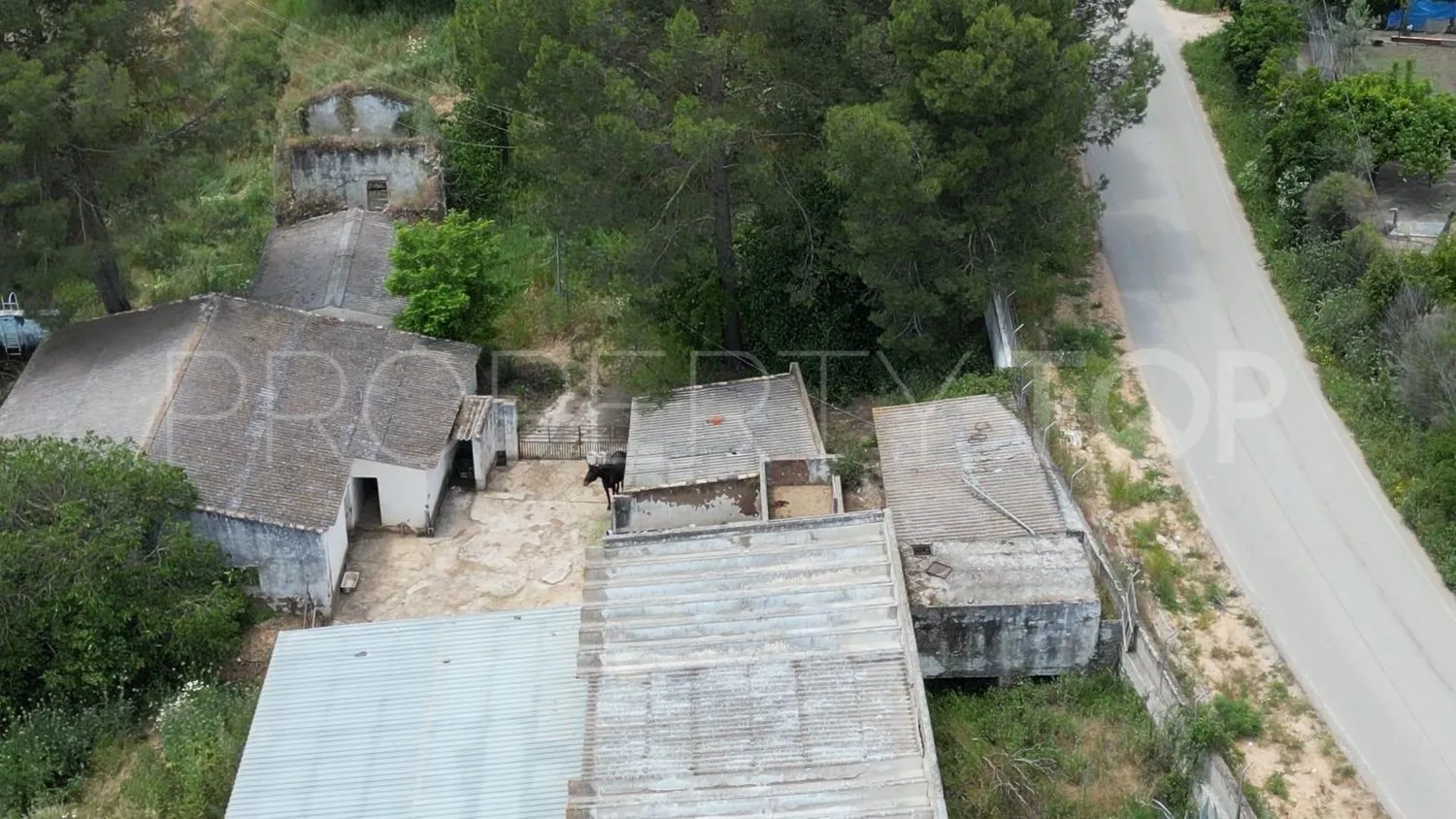 Comprar parcela en Setenil de las Bodegas