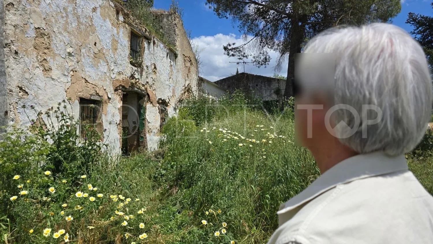 Comprar parcela en Setenil de las Bodegas