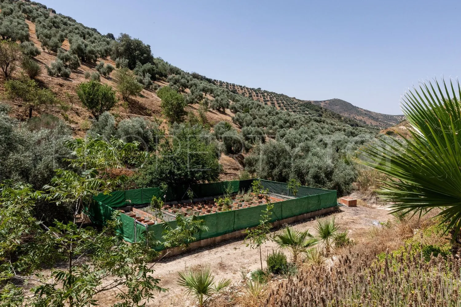 Country house with 5 bedrooms for sale in Cuevas de San Marcos