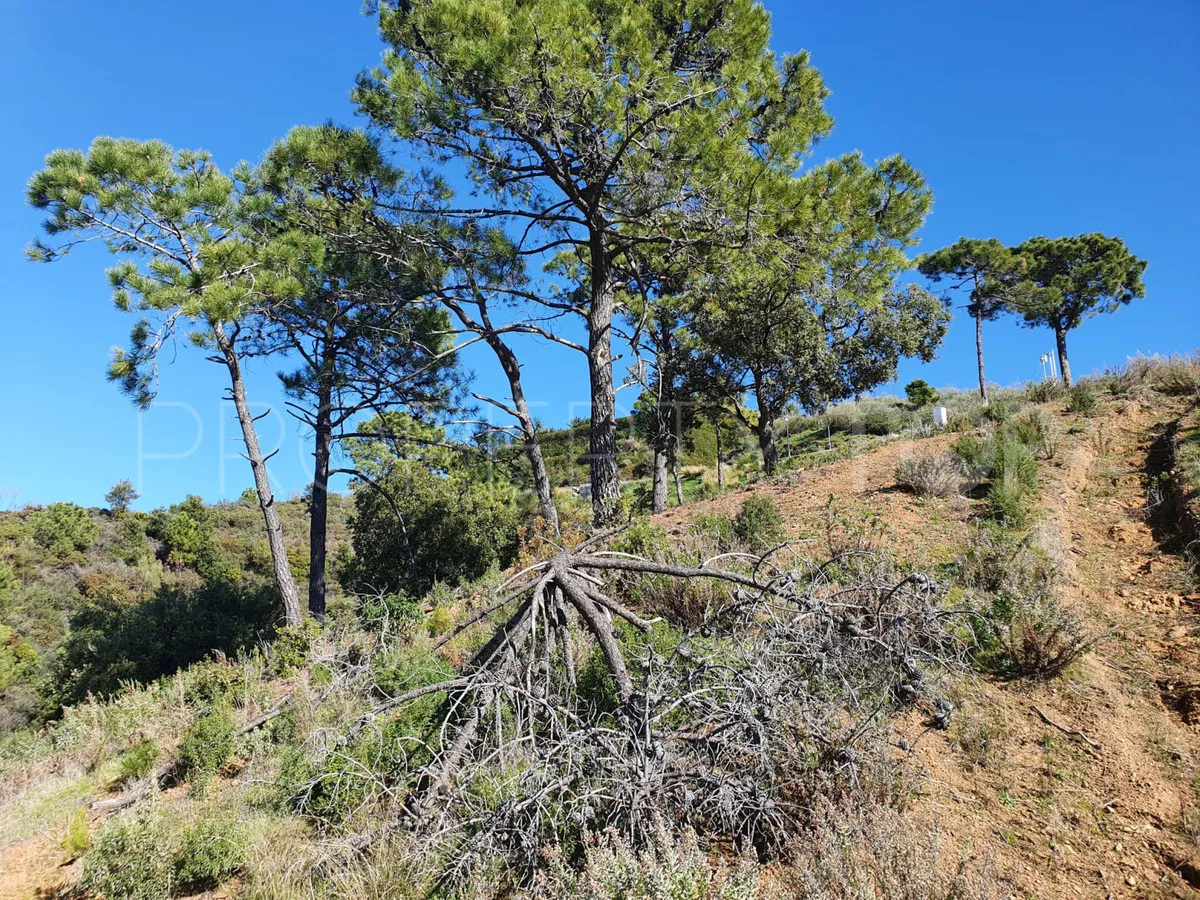 Se vende parcela en Benahavis
