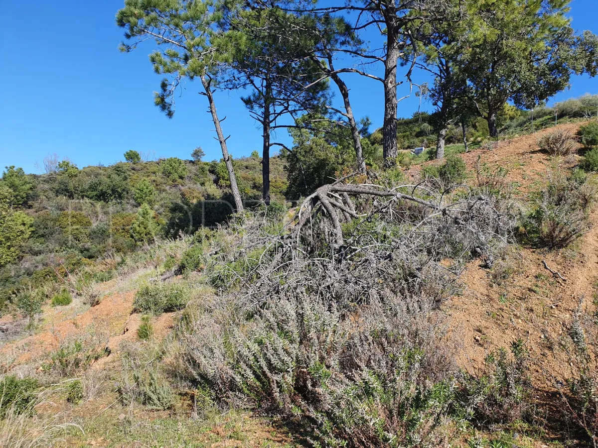Se vende parcela en Benahavis
