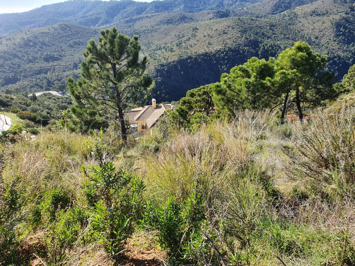 Se vende parcela en Benahavis