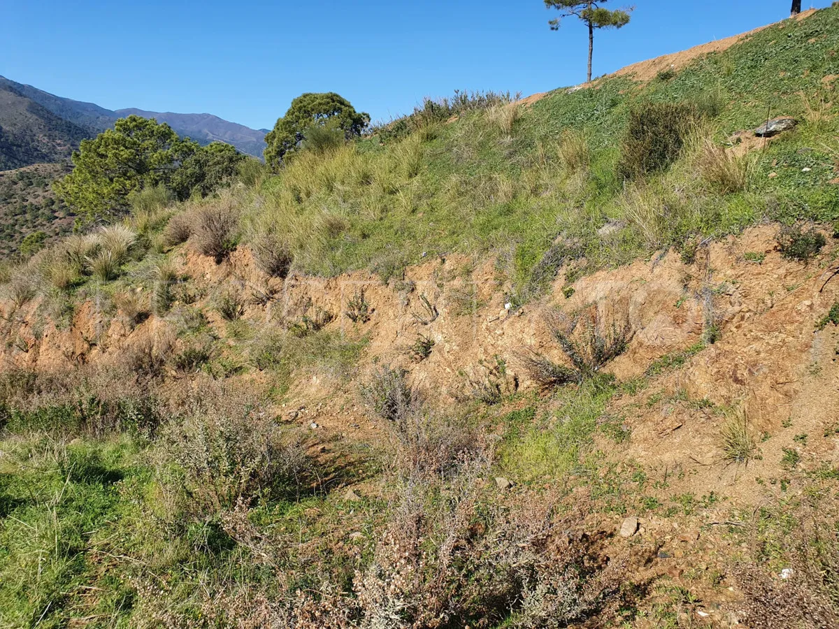 Se vende parcela en Benahavis
