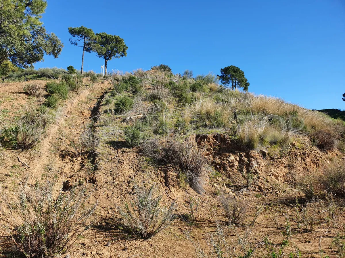 Se vende parcela en Benahavis