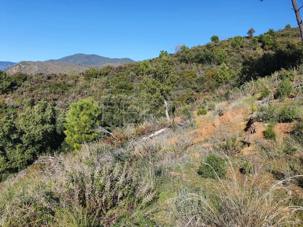 Se vende parcela en Benahavis