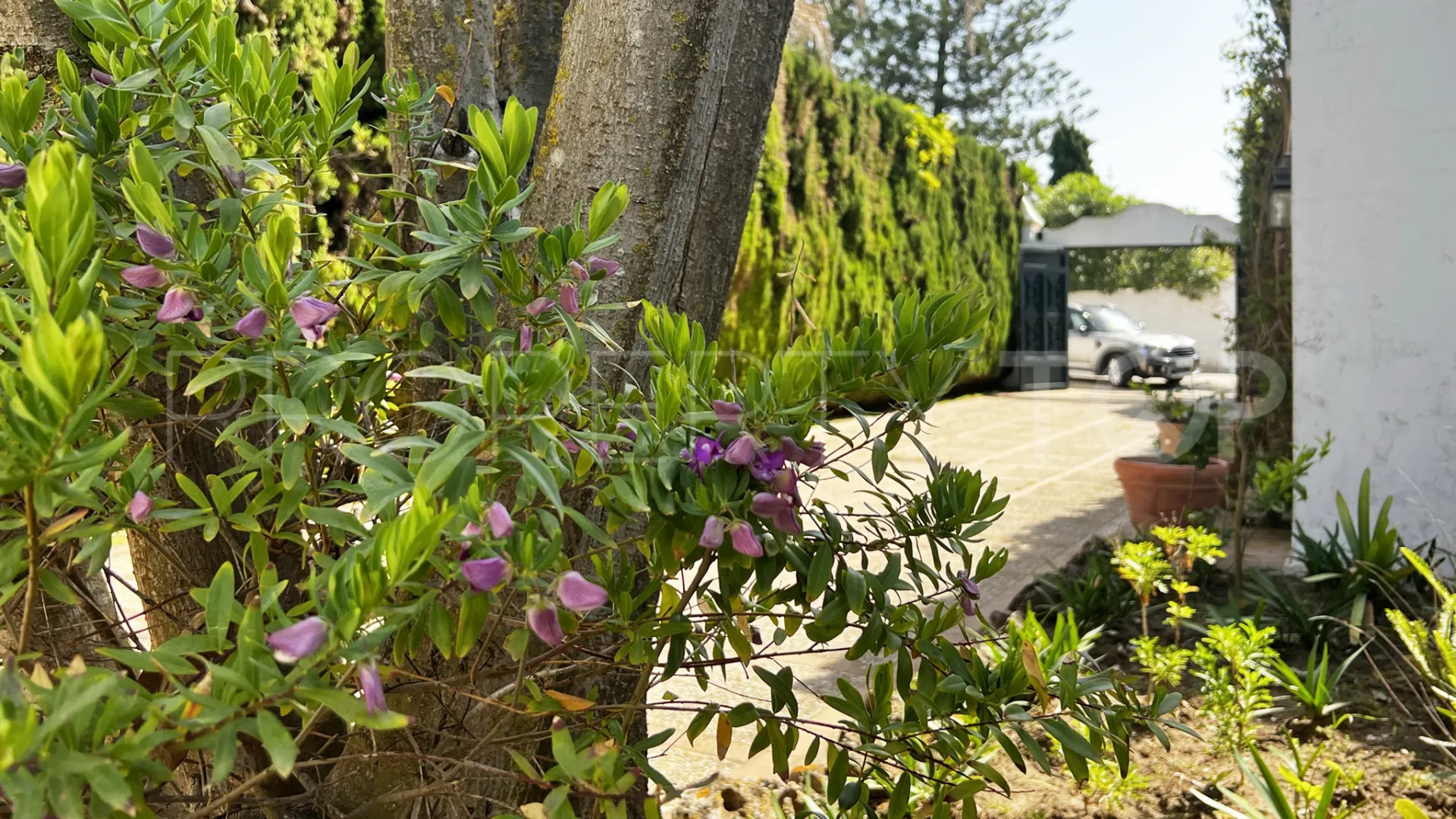 Buy 4 bedrooms villa in Casasola
