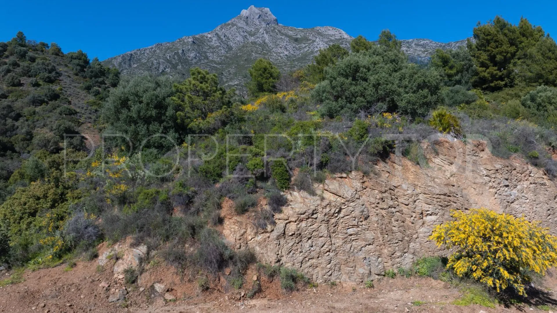 For sale Marbella Golden Mile plot