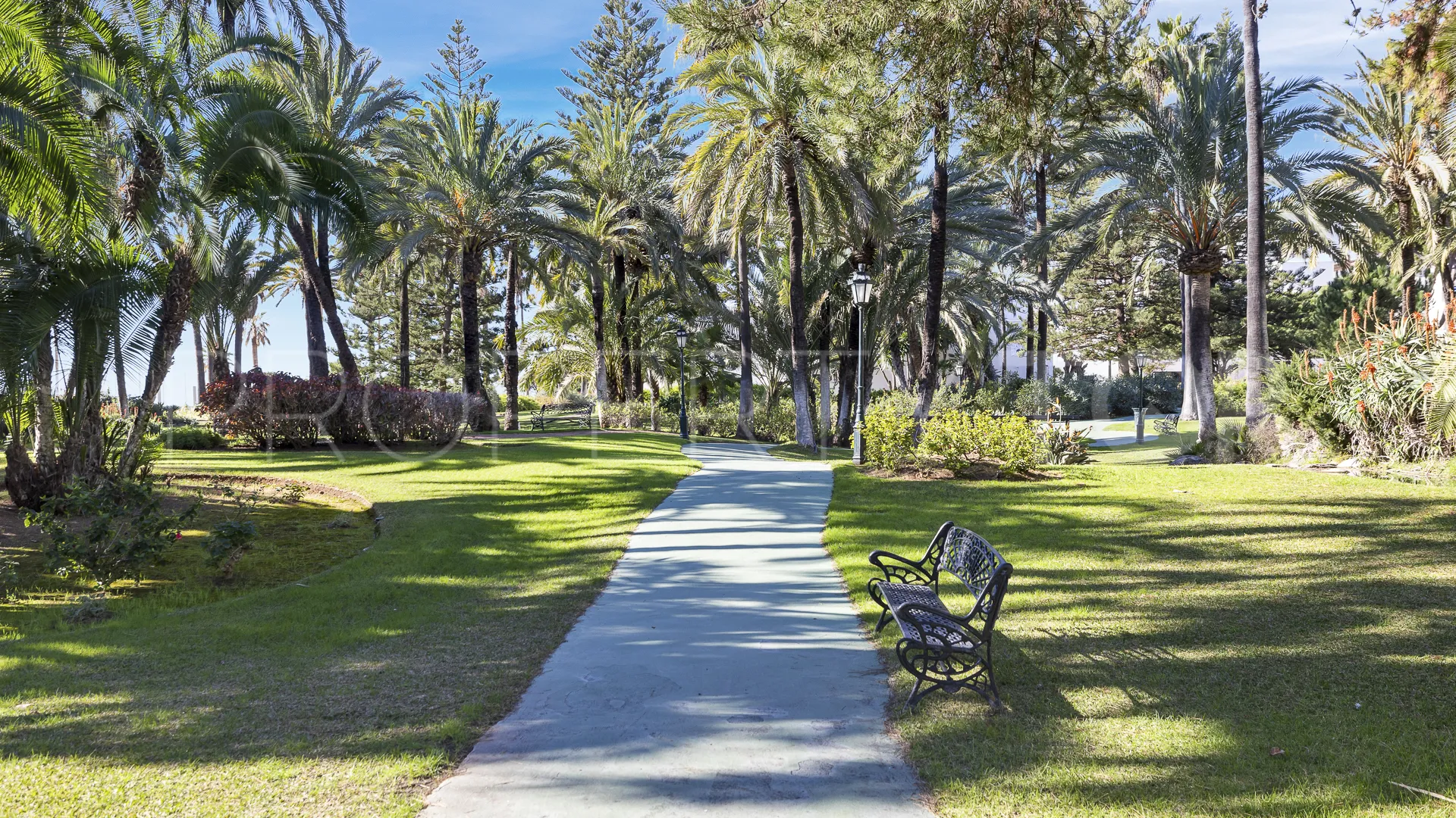 Penthouse in Playas del Duque for sale