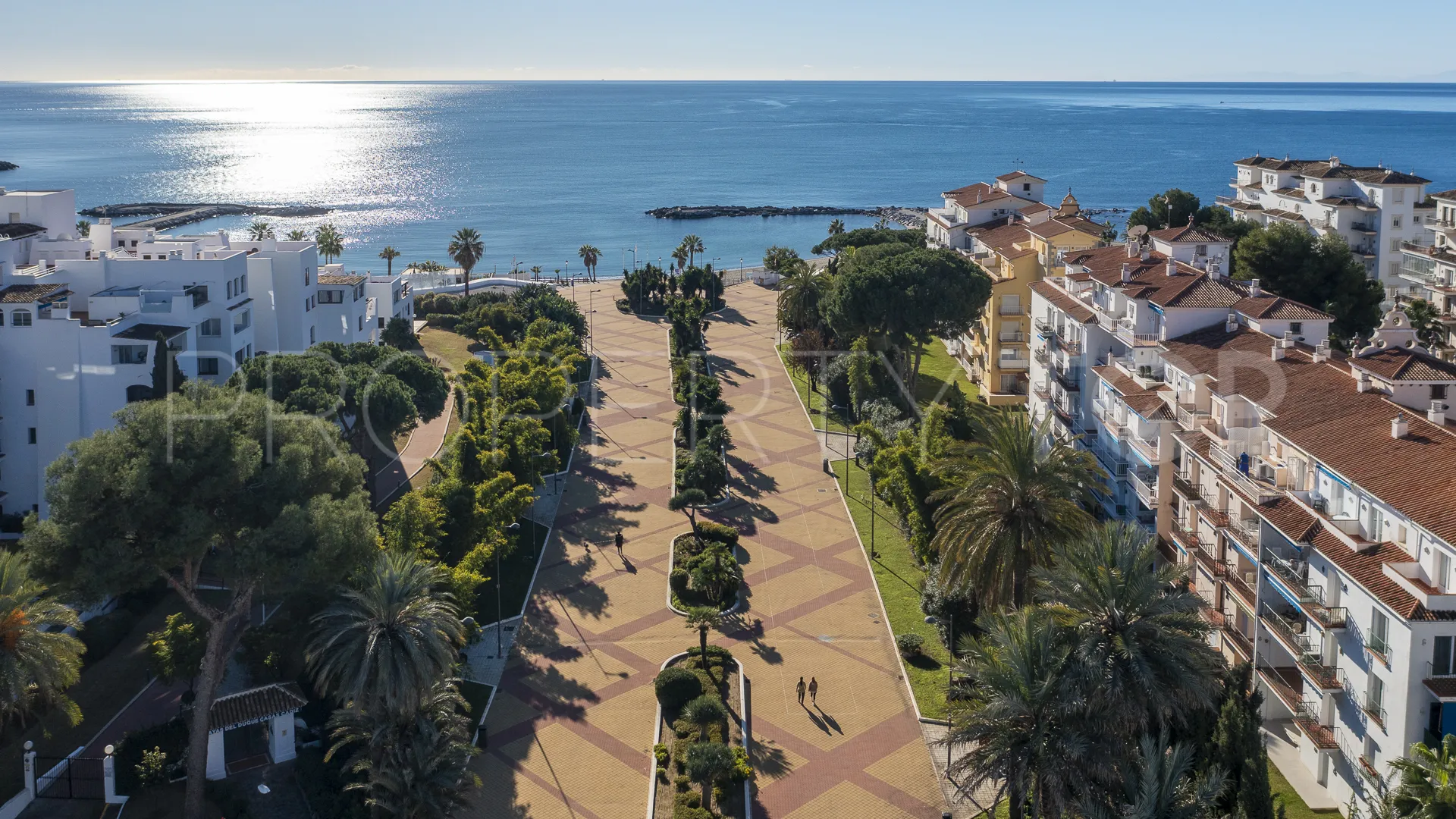 Penthouse in Playas del Duque for sale