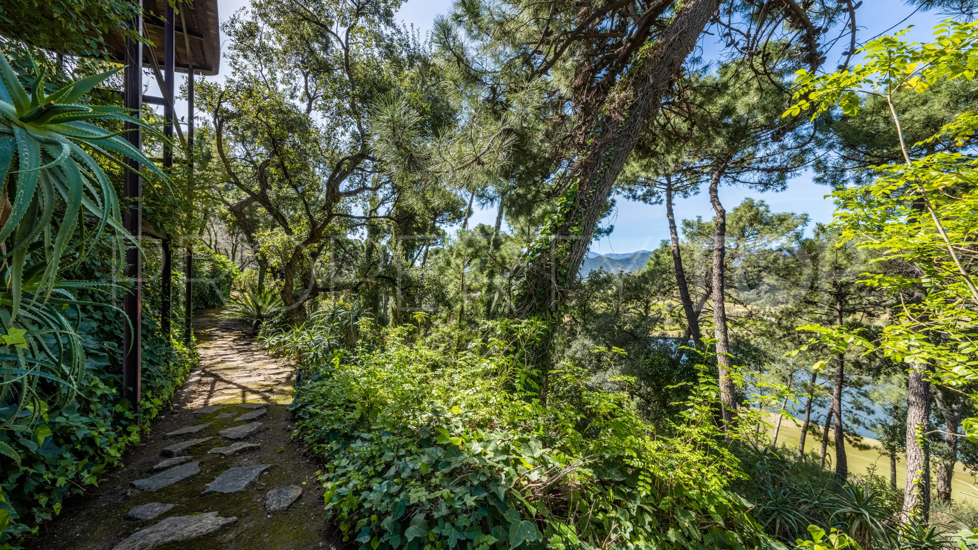 Villa for sale in La Zagaleta