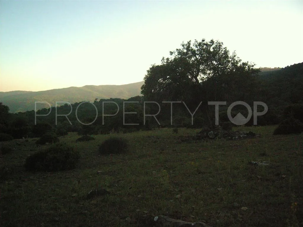 For sale plot in Estacion de Gaucin