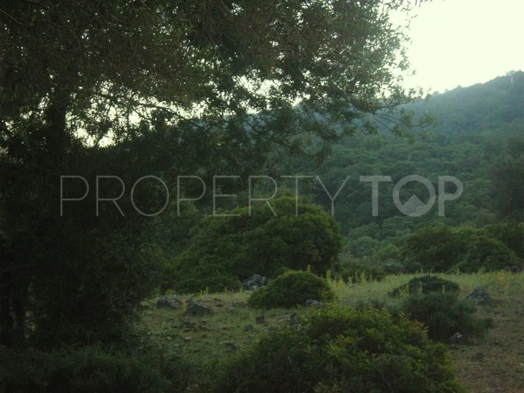 For sale plot in Estacion de Gaucin