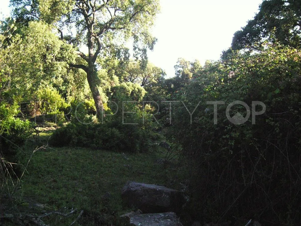 For sale plot in Estacion de Gaucin