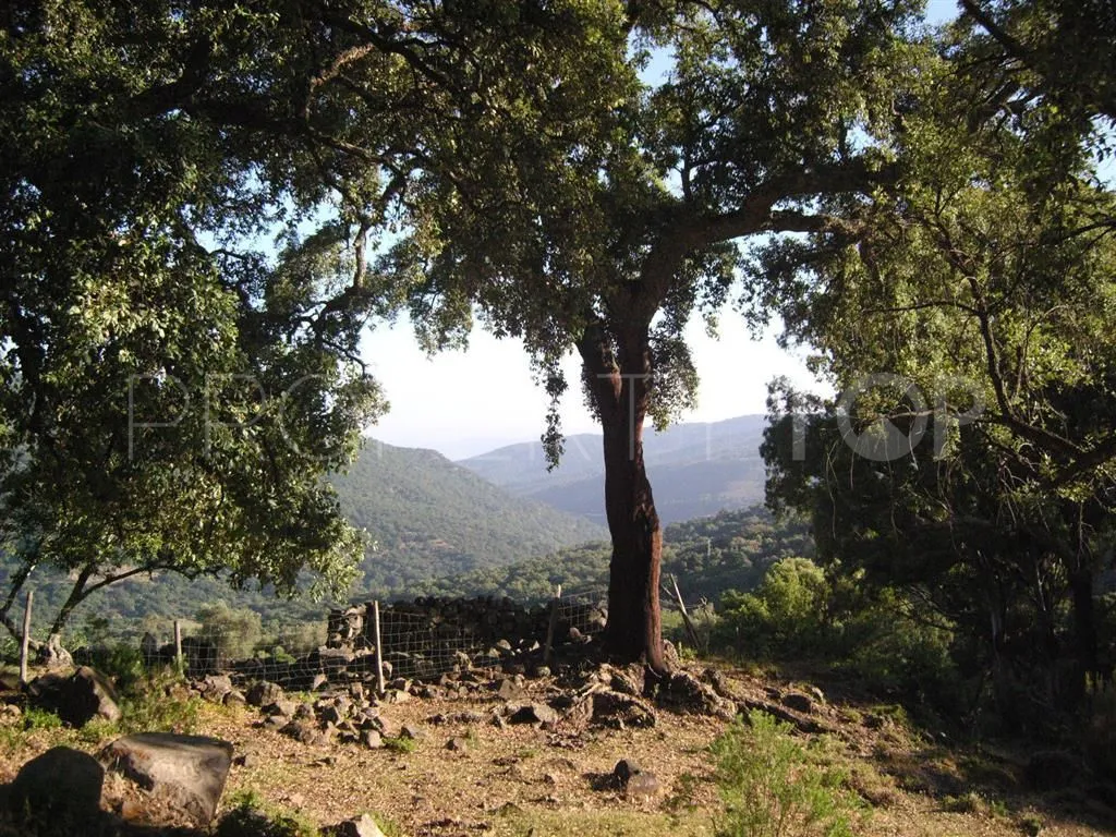 For sale plot in Estacion de Gaucin