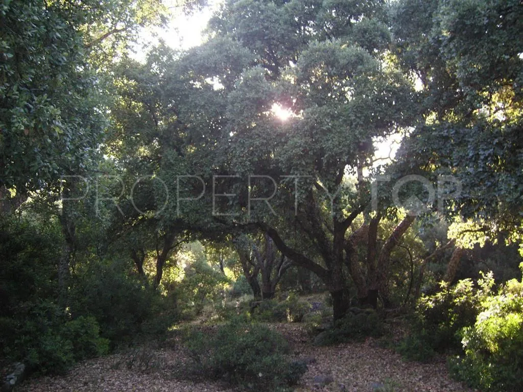For sale plot in Estacion de Gaucin
