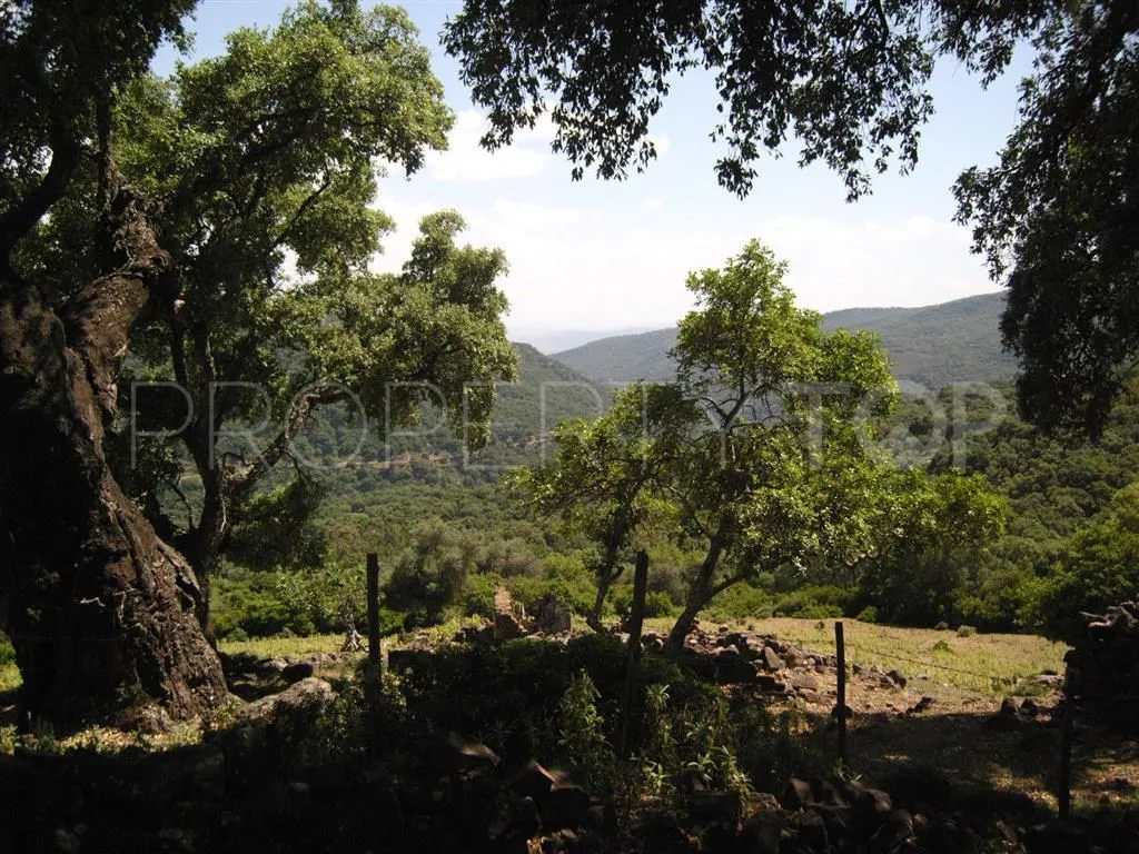 For sale plot in Estacion de Gaucin