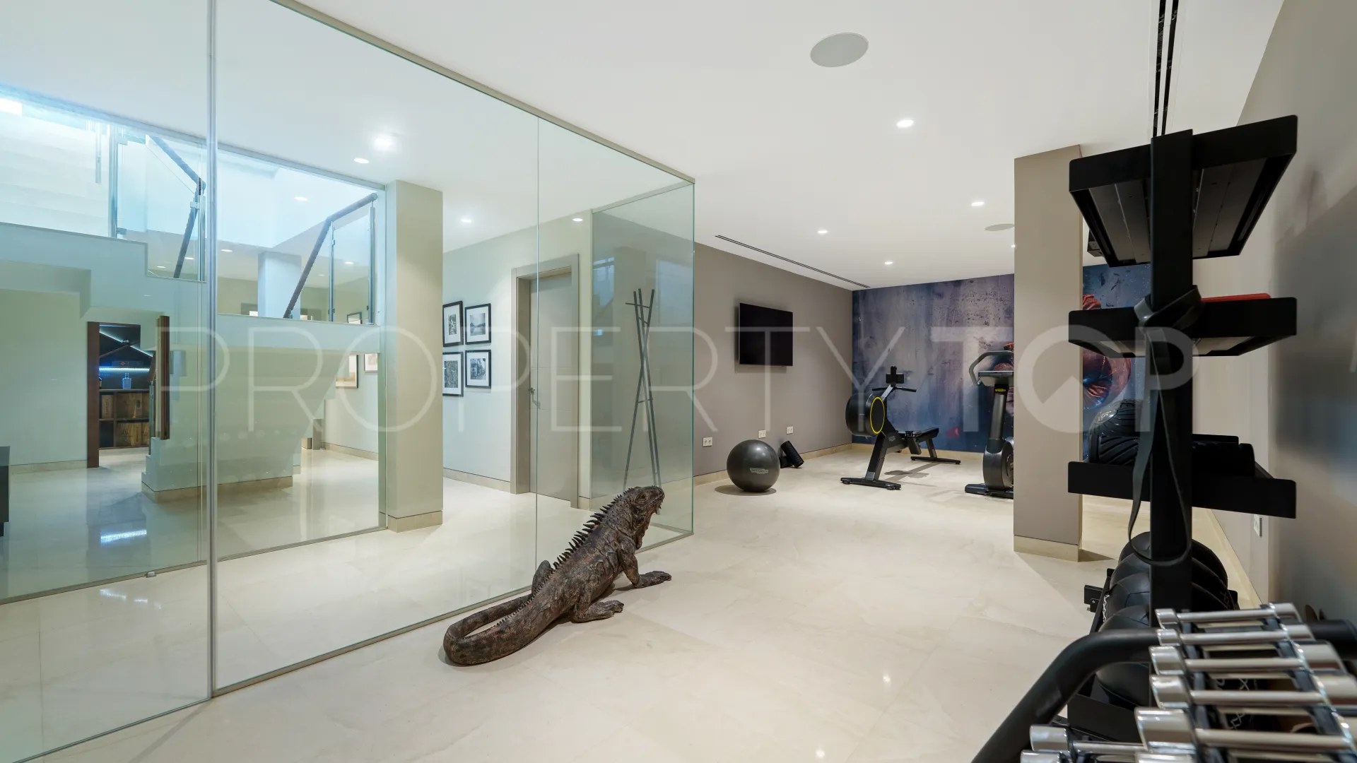5 bedrooms villa in Nueva Andalucia for sale
