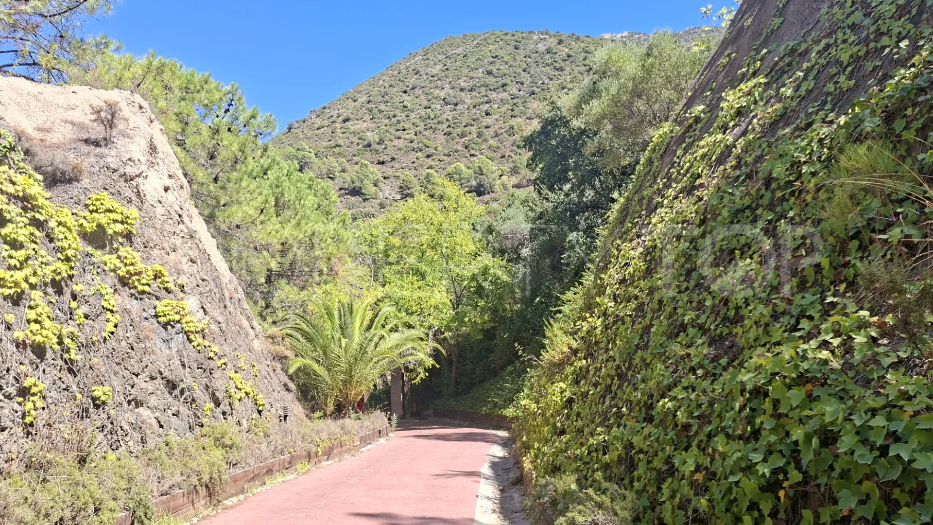 Buy Istan finca with 5 bedrooms