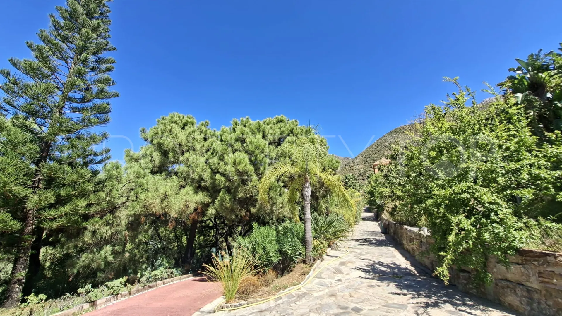 Buy Istan finca with 5 bedrooms