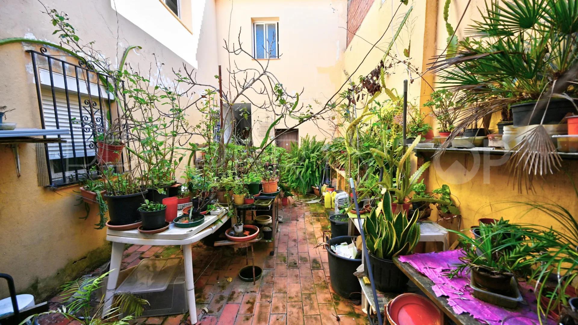 For sale Pueblo Nuevo de Guadiaro house