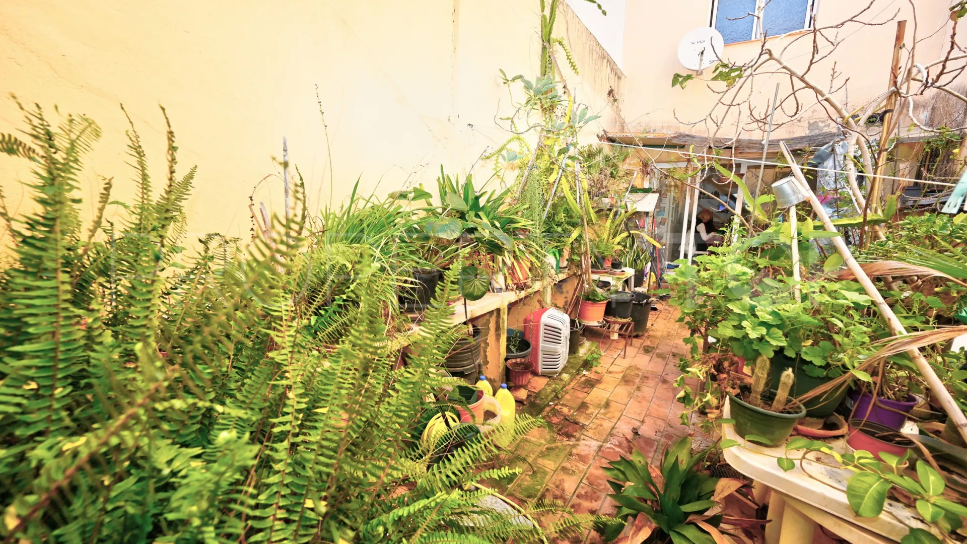 For sale Pueblo Nuevo de Guadiaro house