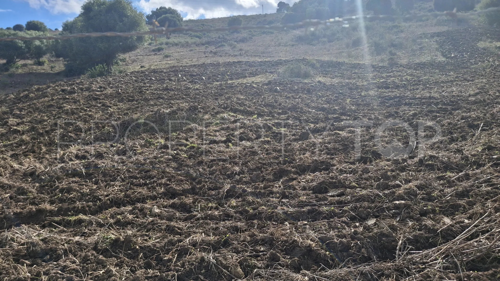 For sale plot in Secadero