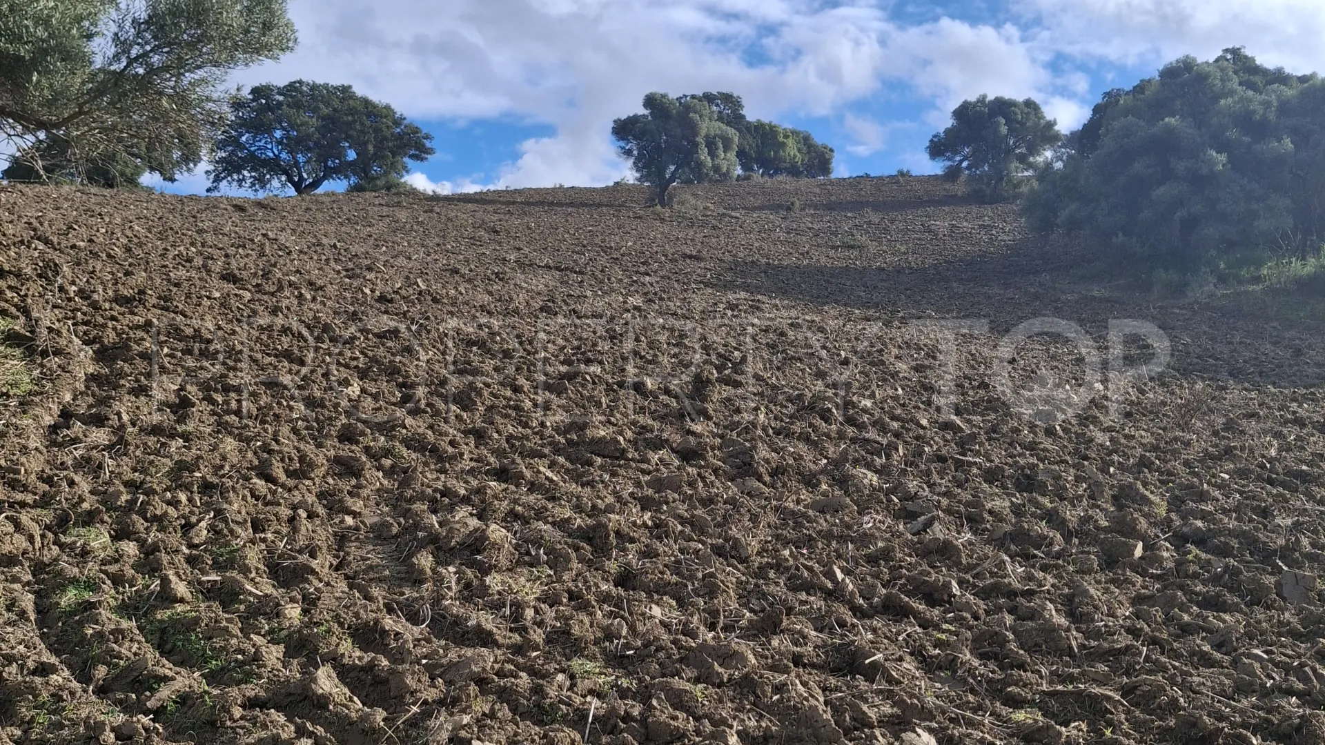 For sale plot in Secadero