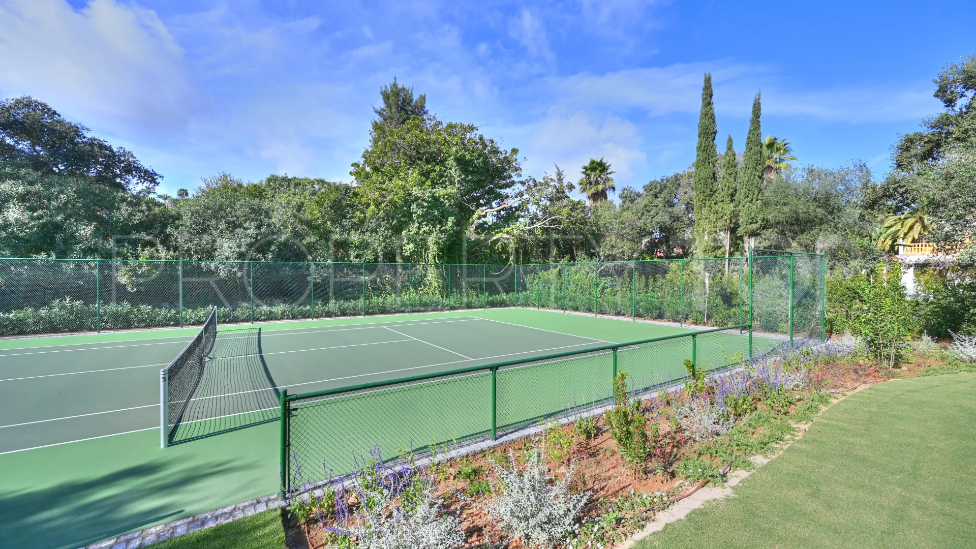 Buy 7 bedrooms villa in Zona C