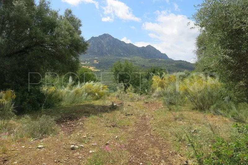 For sale Casares Montaña plot