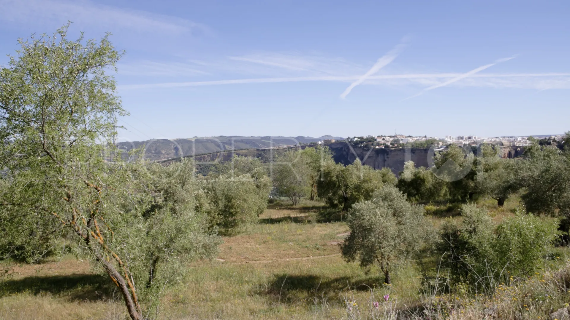 For sale Ronda finca