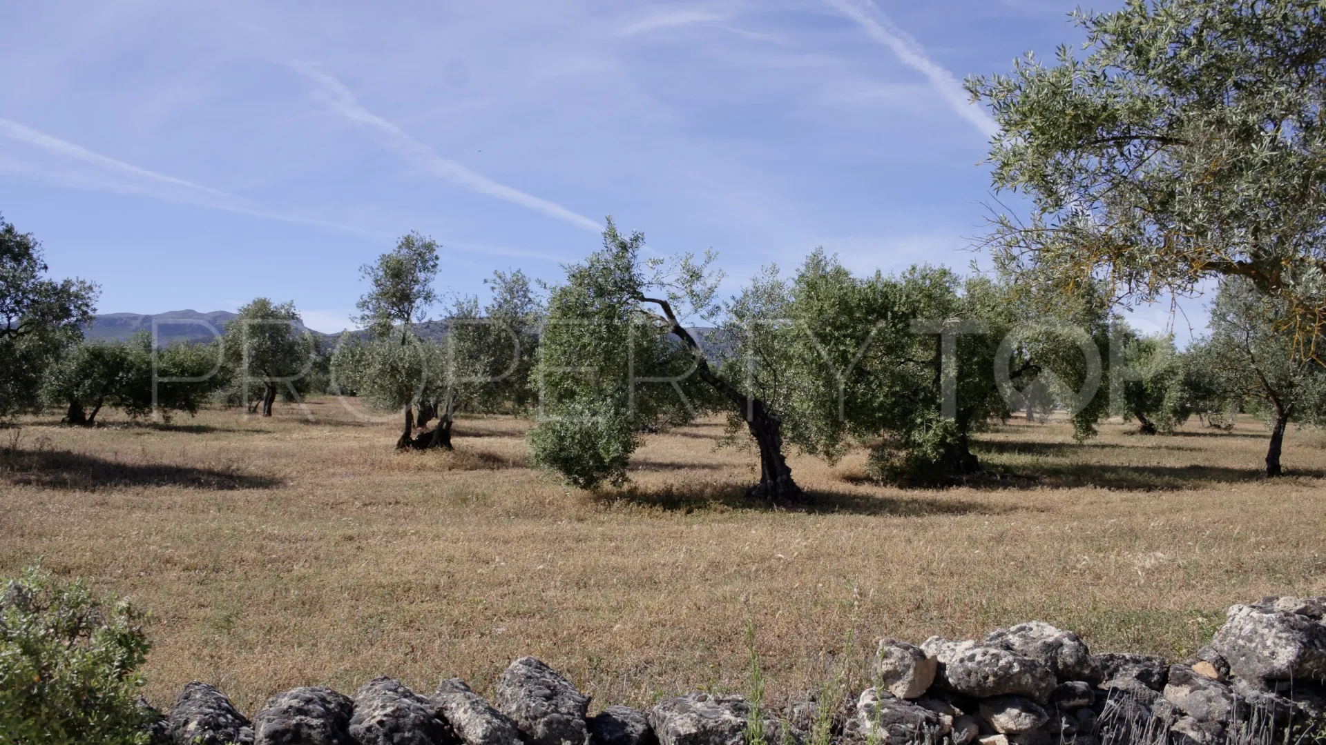 For sale Ronda finca