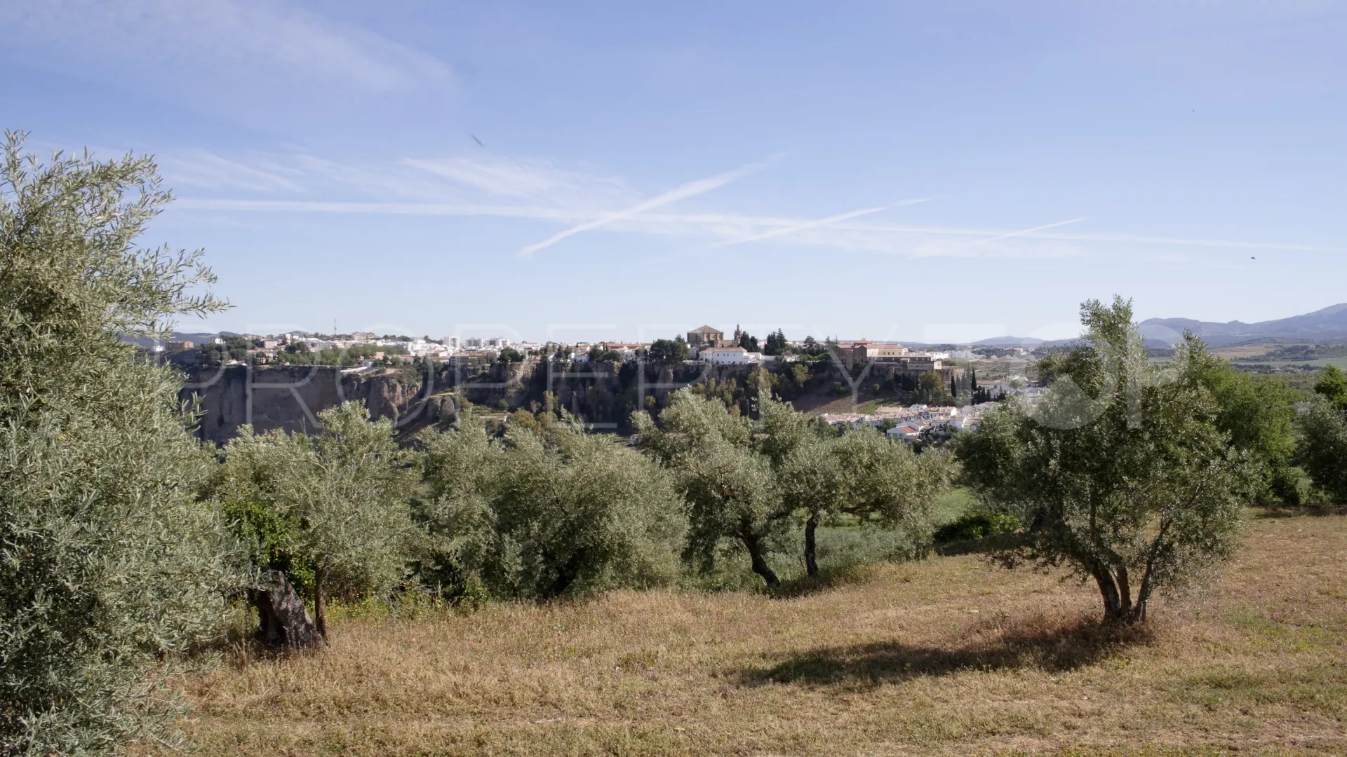 For sale Ronda finca
