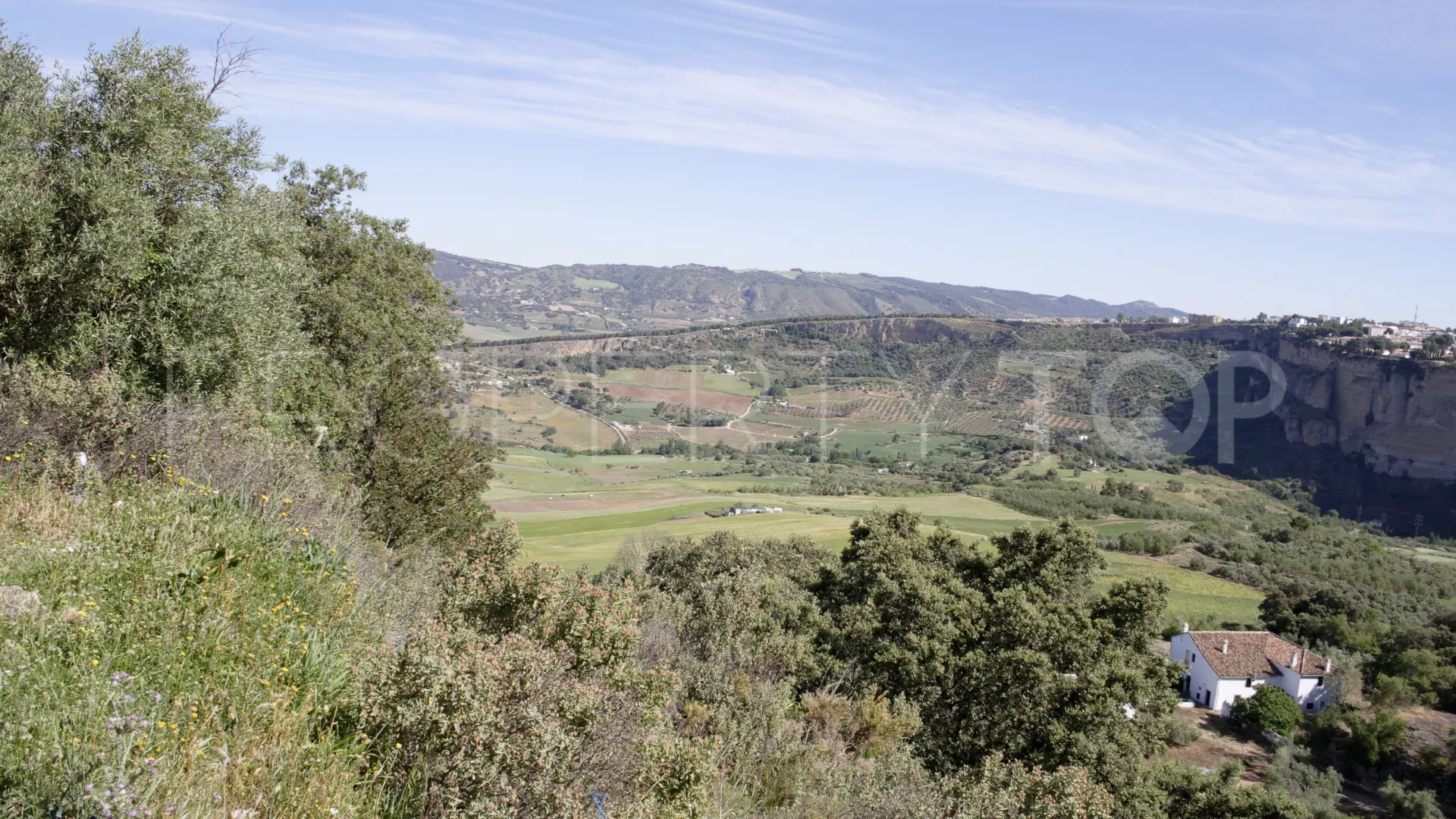 For sale Ronda finca
