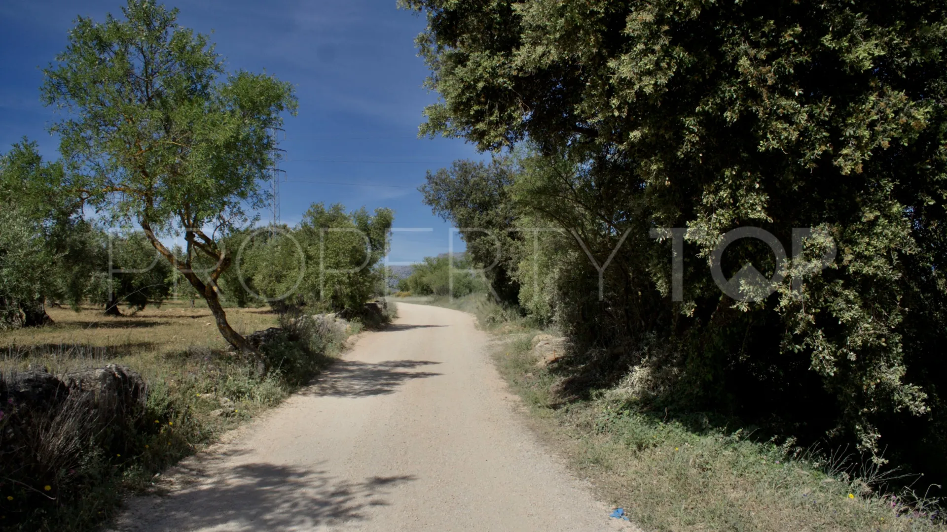 For sale Ronda finca