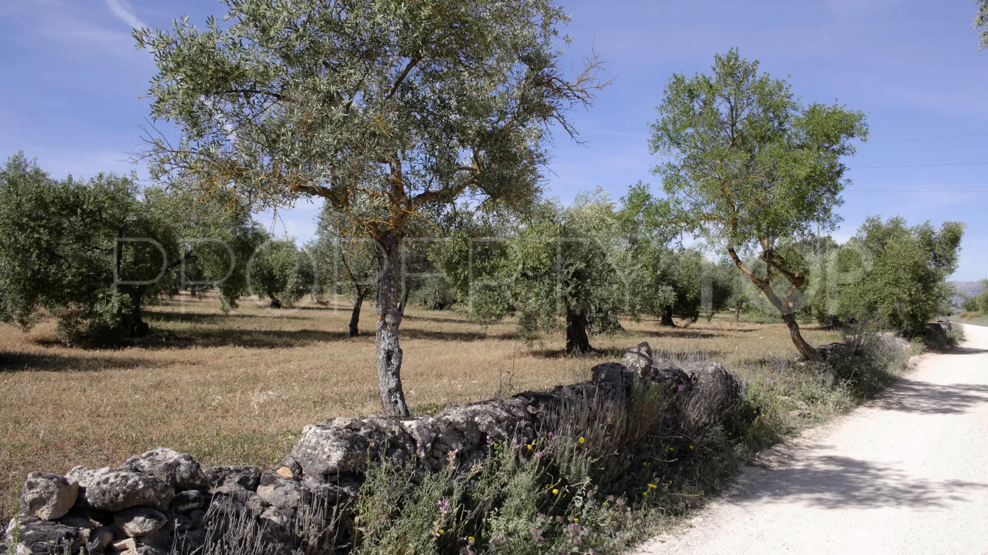 For sale Ronda finca