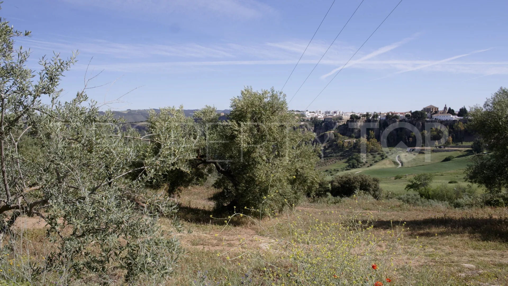 For sale Ronda finca